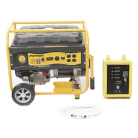 Vista 1 de Generador EPCOM EPGEN7000ATS 6.5 kW 220 V con Arranque Automático